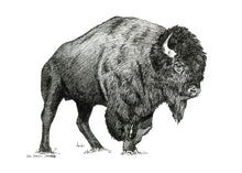 Load image into Gallery viewer, "Bison no. 1" a Pen Drawing Giclee Print