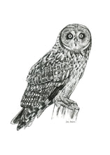 Load image into Gallery viewer, "Owl no. 2" a Pen Drawing Giclee Print