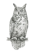 Load image into Gallery viewer, "Owl no. 1" a Pen Drawing Giclee Print