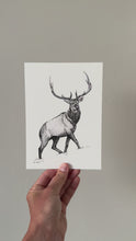 Load and play video in Gallery viewer, "Elk no. 1" a Pen Drawing Giclee Print