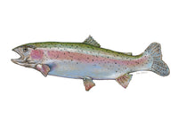 "Rainbow" a Horizontal Colored Pencil Print