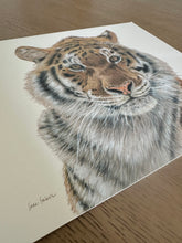 Load image into Gallery viewer, &quot;Strength&quot; a Horizontal Tiger Giclee Print
