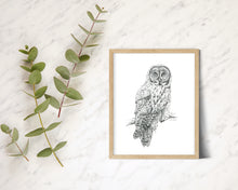 Load image into Gallery viewer, &quot;Great Grey&quot; a veritcal Owl Giclee Print
