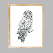 Load image into Gallery viewer, &quot;Great Grey&quot; a veritcal Owl Giclee Print
