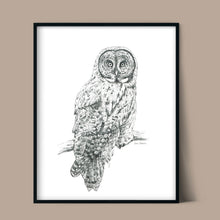 Load image into Gallery viewer, &quot;Great Grey&quot; a veritcal Owl Giclee Print
