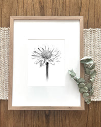 "Daisy" a Vertical Giclee Print