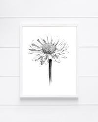 "Daisy" a Vertical Giclee Print