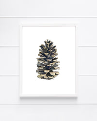 Pinecone Vertical Giclee Print with Watercolor