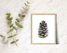 Load image into Gallery viewer, Pinecone Vertical Giclee Print with Watercolor
