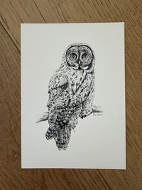 "Great Grey" a veritcal Owl Giclee Print