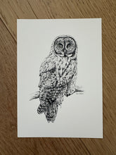 Load image into Gallery viewer, &quot;Great Grey&quot; a veritcal Owl Giclee Print
