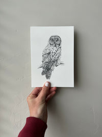 "Great Grey" a veritcal Owl Giclee Print