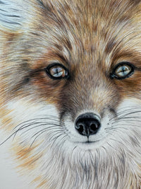 "Bright-Eyed" an Original Colored Pencil Drawing