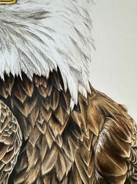 "Freedom" an Original Colored Pencil Drawing