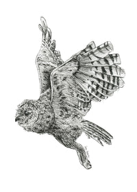 "Owl no. 3" a Pen Drawing Giclee Print