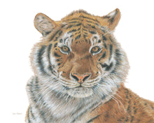 Load image into Gallery viewer, &quot;Strength&quot; a Horizontal Tiger Giclee Print
