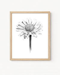"Daisy" a Vertical Giclee Print