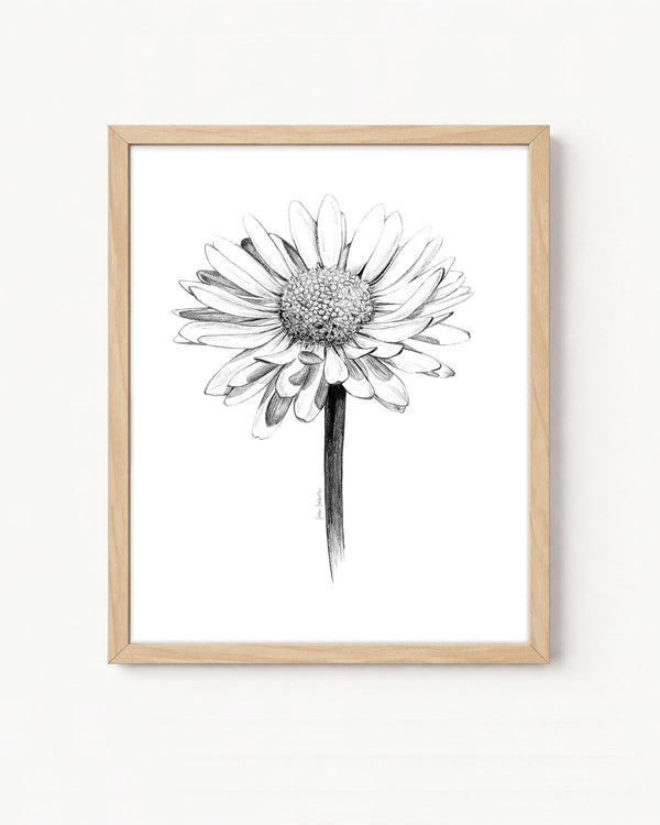 "Daisy" a Vertical Giclee Print