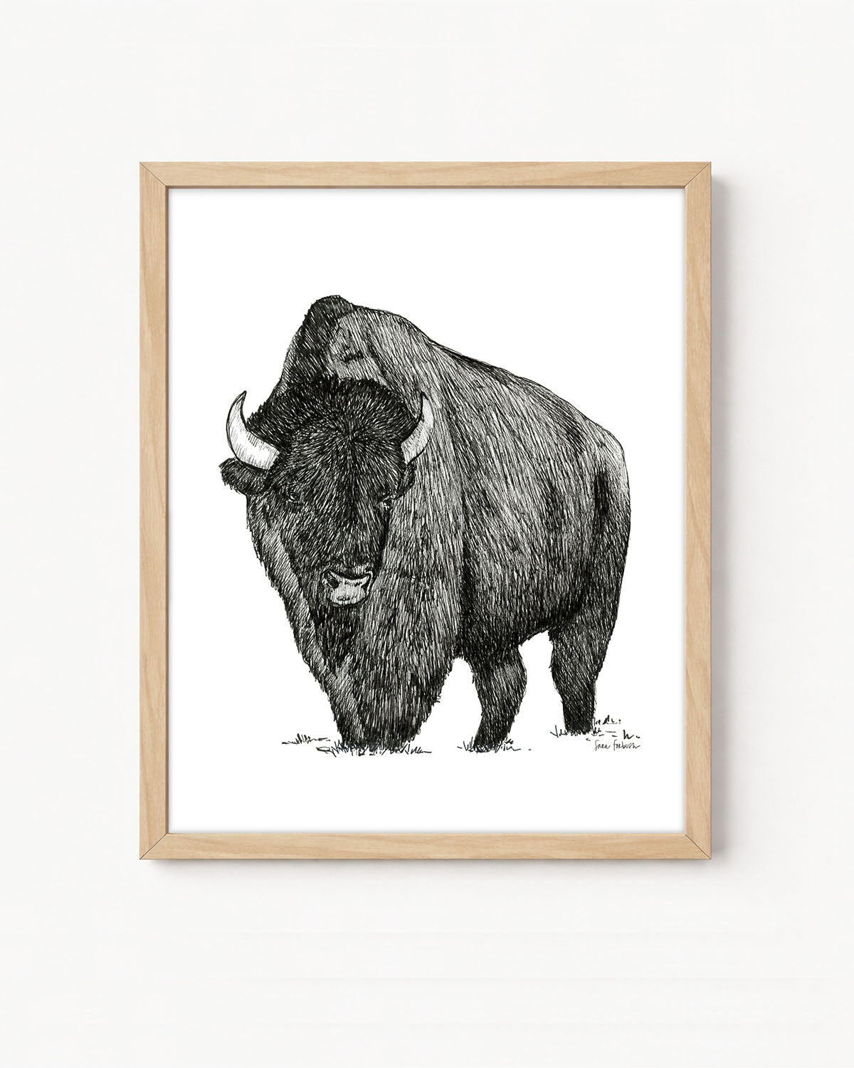 "Bison no. 4" a Pen Drawing Giclee Print