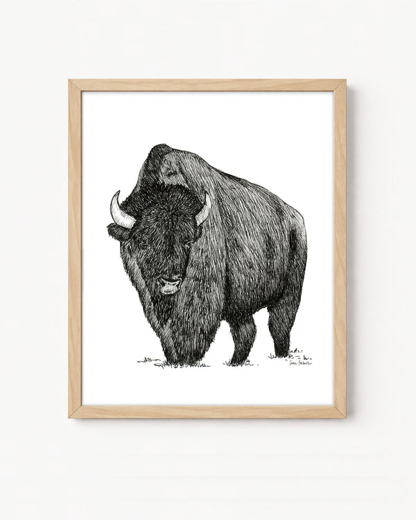 "Bison no. 4" a Pen Drawing Giclee Print