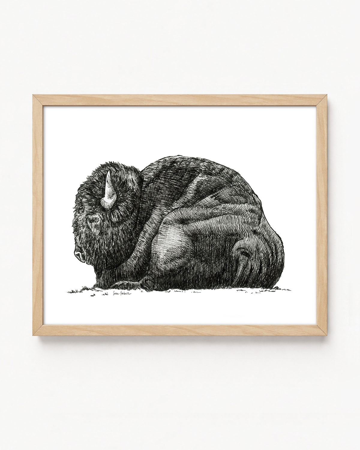 "Bison no. 3" a Pen Drawing Giclee Print
