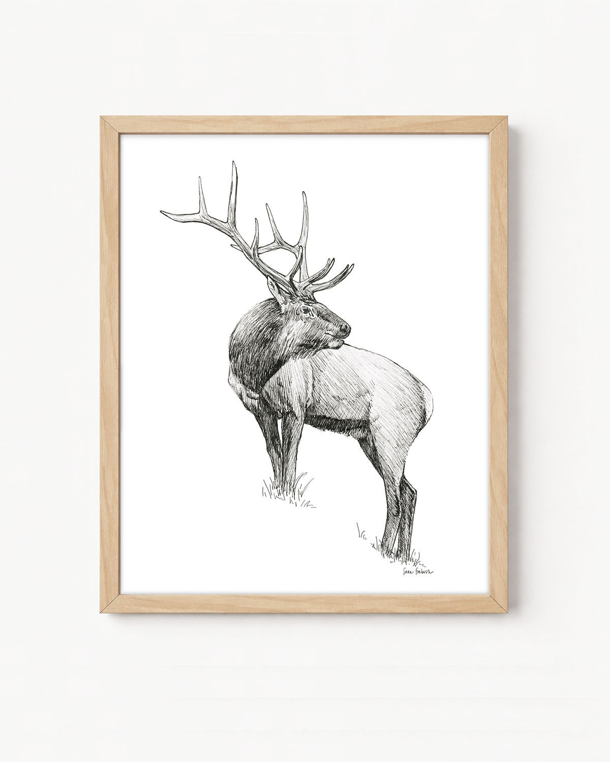 "Elk no. 3" a Pen Drawing Giclee Print
