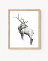 "Elk no. 3" a Pen Drawing Giclee Print