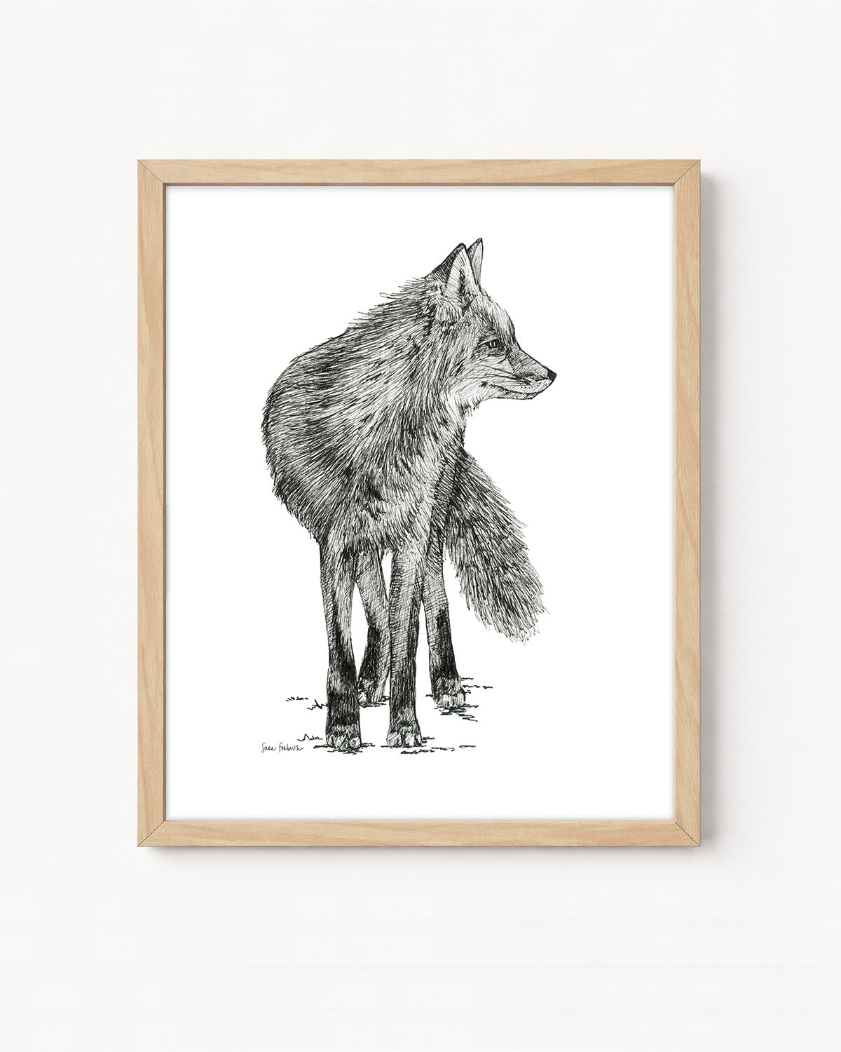 "Fox no. 1" a Pen Drawing Giclee Print