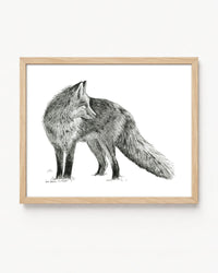 "Fox no. 2" a Pen Drawing Giclee Print