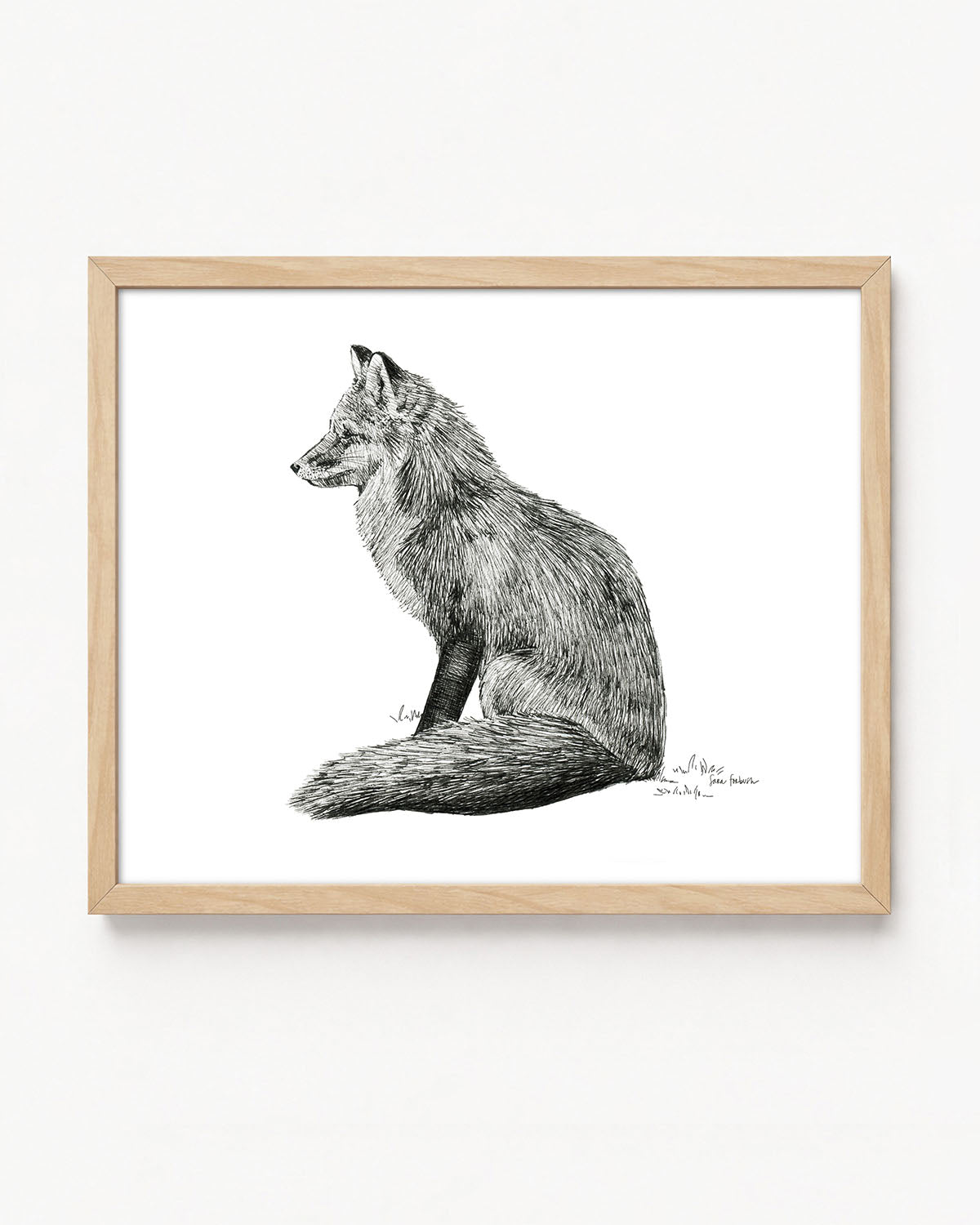 "Fox no. 3" a Pen Drawing Giclee Print