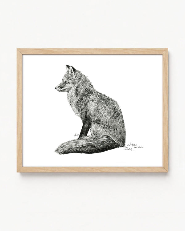 "Fox no. 3" a Pen Drawing Giclee Print