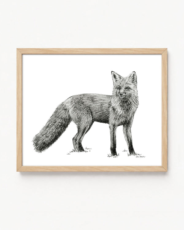 "Fox no. 4" a Pen Drawing Giclee Print