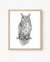 "Owl no. 1" a Pen Drawing Giclee Print