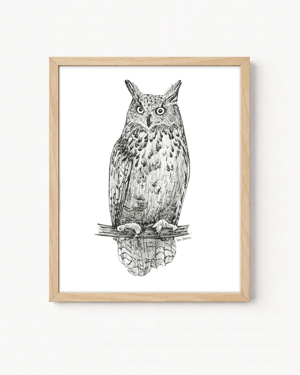 "Owl no. 1" a Pen Drawing Giclee Print