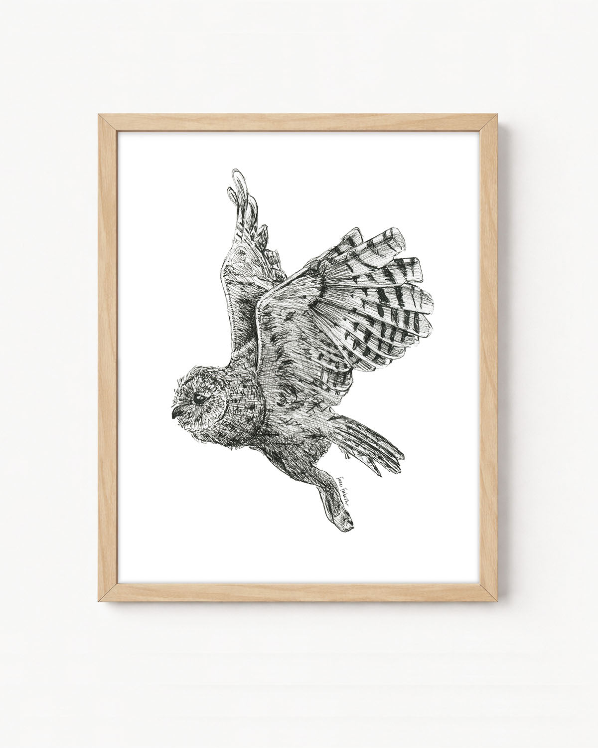 "Owl no. 3" a Pen Drawing Giclee Print