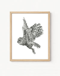 "Owl no. 3" a Pen Drawing Giclee Print