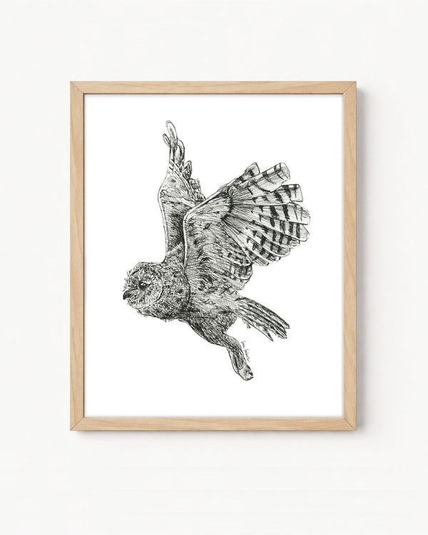 "Owl no. 3" a Pen Drawing Giclee Print