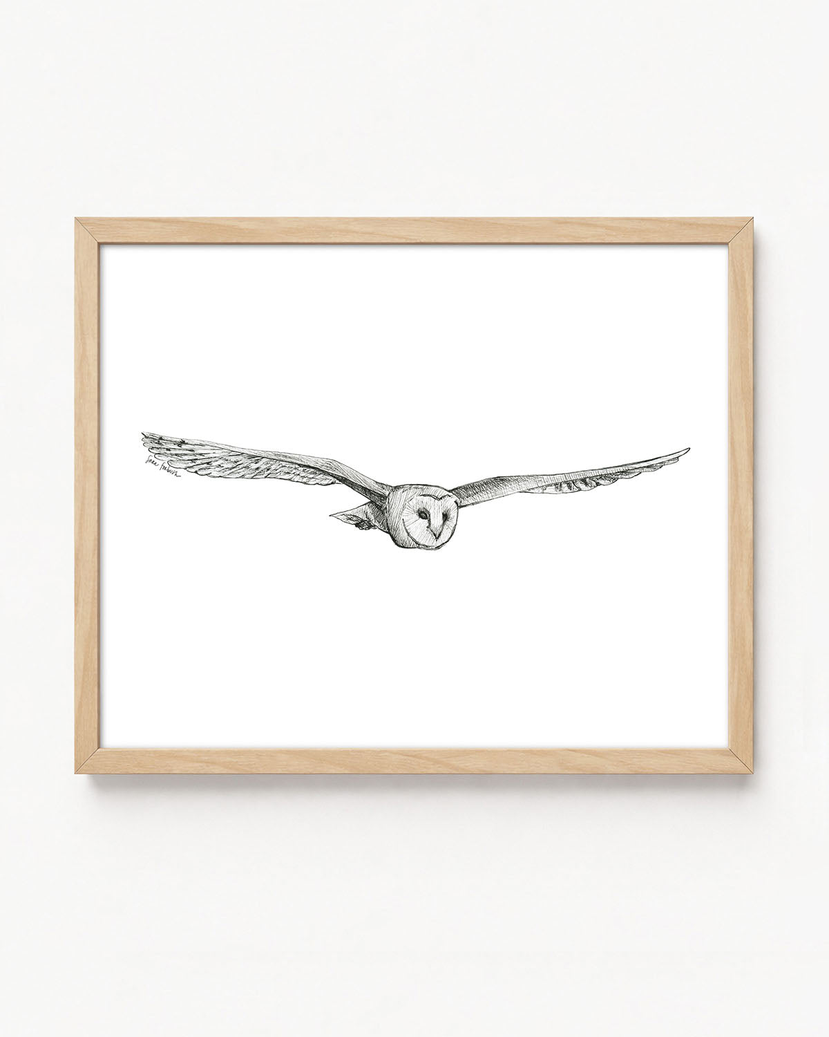 "Owl no. 4" a Pen Drawing Giclee Print