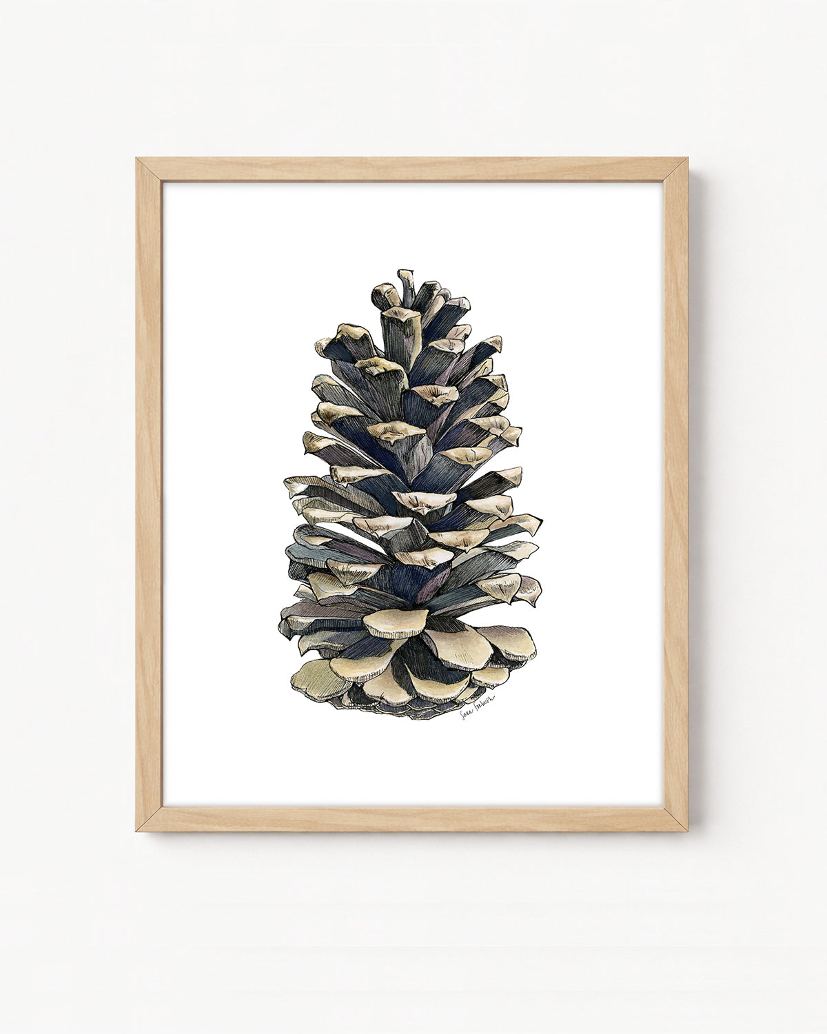 Pinecone Vertical Giclee Print with Watercolor