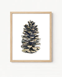 Pinecone Vertical Giclee Print with Watercolor