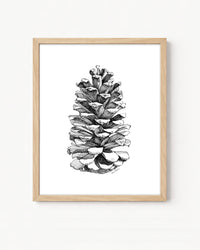 Pinecone Vertical Giclee Print Black and White