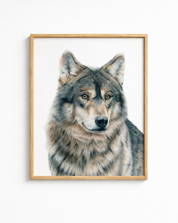 "Dusk" a Wolf Colored Pencil Vertical Print