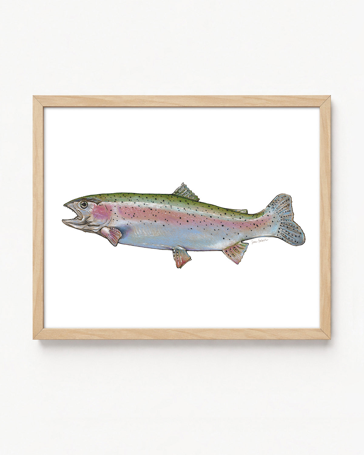 "Rainbow" a Horizontal Colored Pencil Print