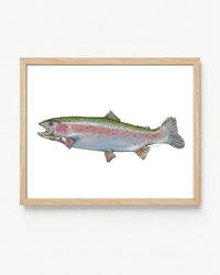 "Rainbow" a Horizontal Colored Pencil Print