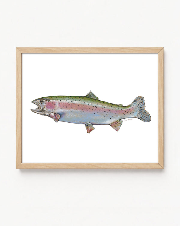 "Rainbow" a Horizontal Colored Pencil Print