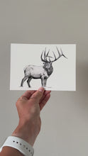 Load and play video in Gallery viewer, &quot;Elk no. 2&quot; a Pen Drawing Giclee Print
