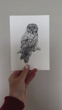 Load and play video in Gallery viewer, &quot;Great Grey&quot; a veritcal Owl Giclee Print
