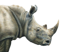 Load image into Gallery viewer, &quot;Rugged&quot; a Rhinoceros Colored Pencil Horizontal Gilcee Print
