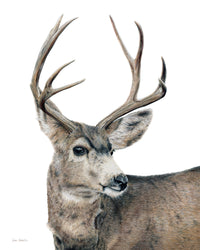 "Kilgore" A Vertical Colored Pencil Print
