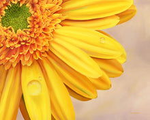 Load image into Gallery viewer, &quot;Sunshine&quot; an Oil Painting Print
